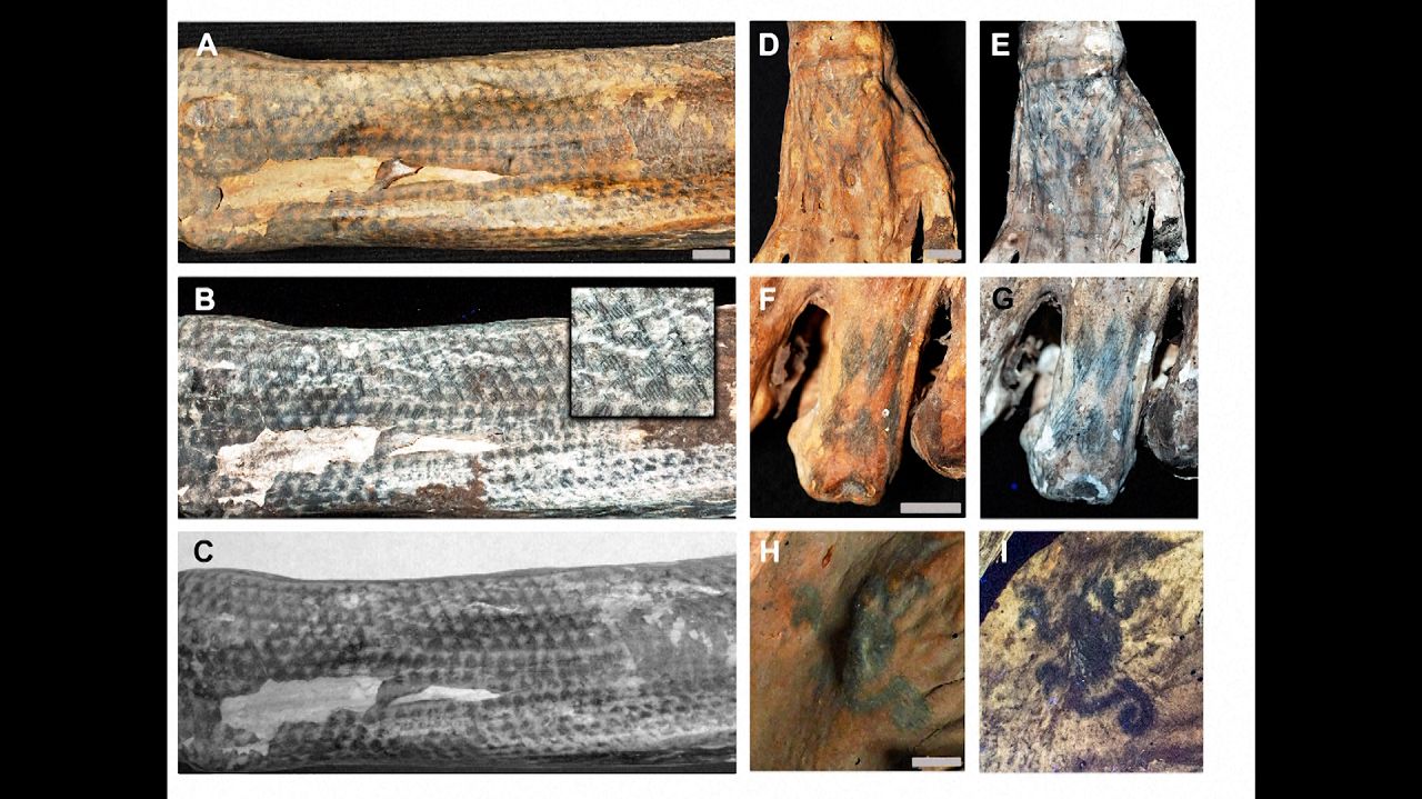 ancient tattoos lasers help archaeologists uncover intricate body art on peruvian mummies 1 iMEucsL5