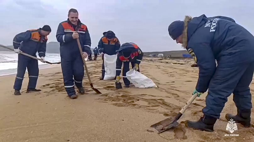 more than 30 dolphins dead in southern russia oil spill animal rescue group says KCpattAg