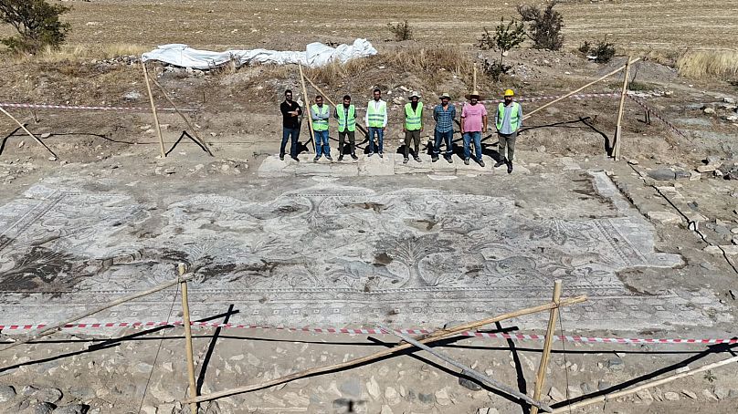 turkish farmer uncovers rare ancient hunt mosaic likely the largest of its kind wHSRJQE1