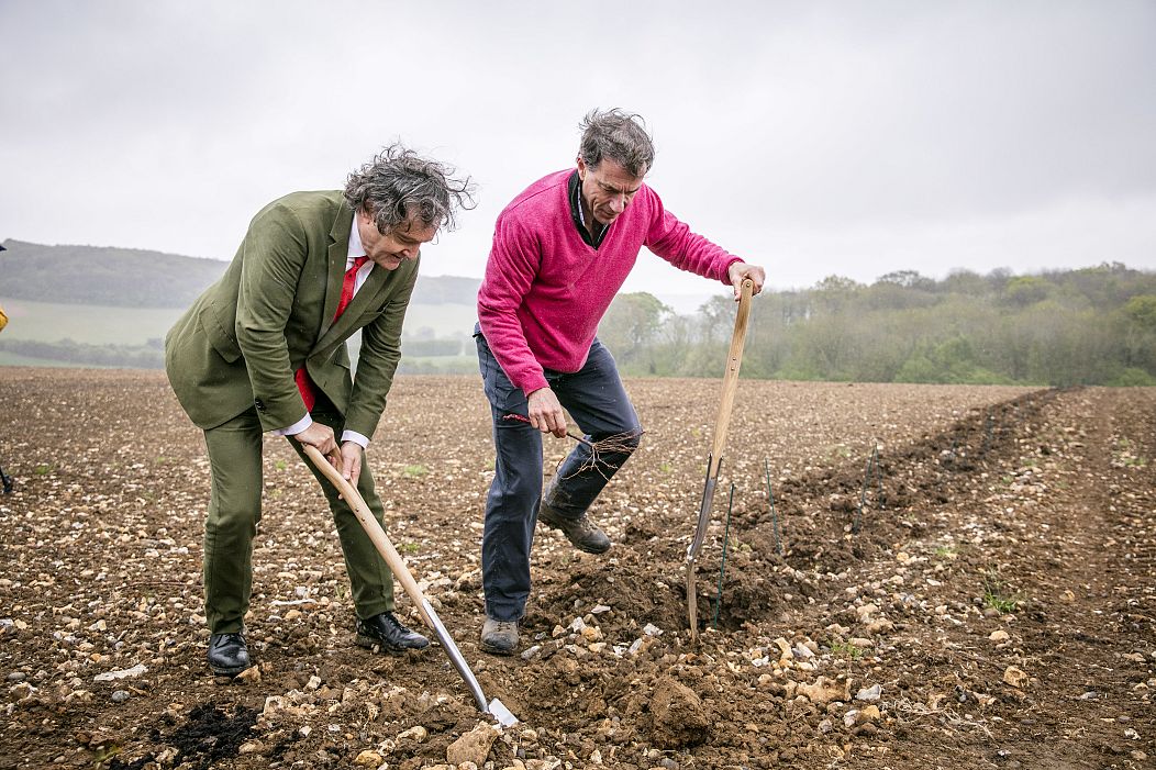 why french winemakers are buying up huge swaths of land in southern england 3