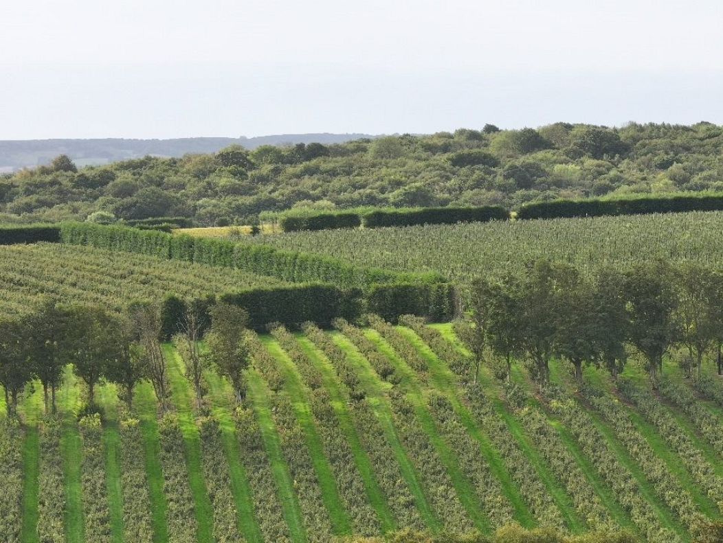 why french winemakers are buying up huge swaths of land in southern england 6 NEpzmqwz