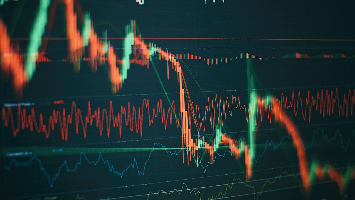 a dead cat bounce six market terms to know in an era of trade MEeLrRfY