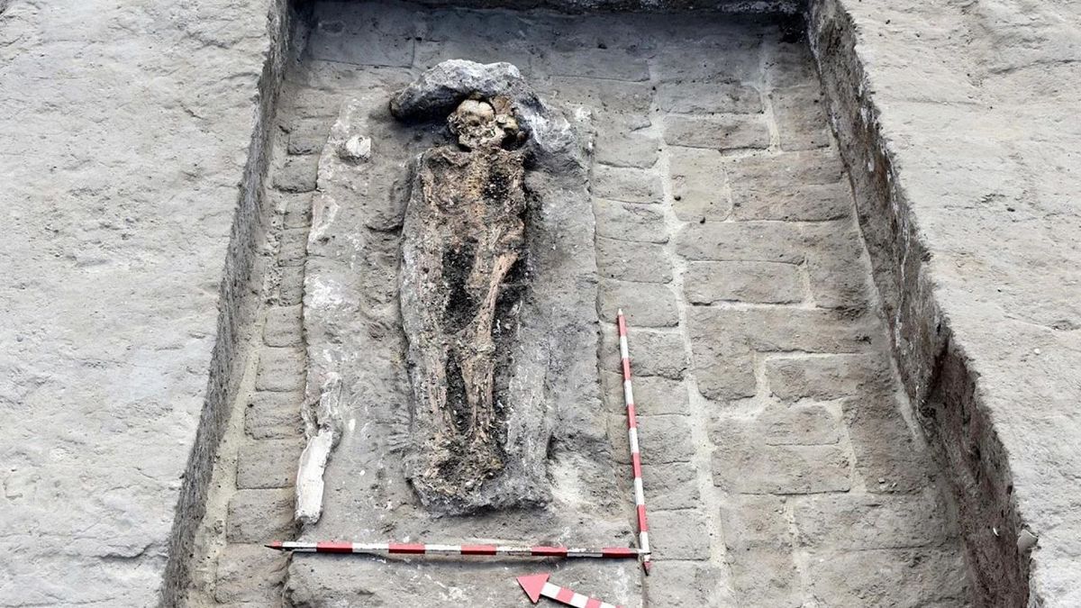 archaeologists unearth 3200 year old tomb linked to ancient egypts military elite