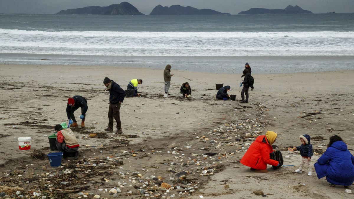 commission overruled as lawmakers extend microplastic controls to shipping