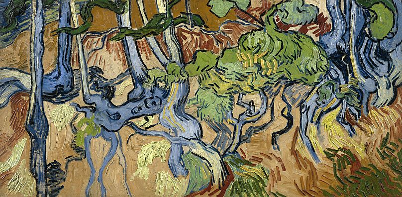 Court rules in favour of homeowners in land dispute over site of Van Gogh's final painting 3 court rules in favour of homeowners in land dispute over site of van goghs AMRRN73K