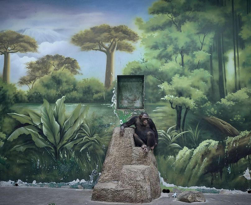 Culture Agenda: The best things to do, hear, see or watch in Europe this week 3 culture agenda the best things to do hear see or watch in europe this 8uyCsTjT