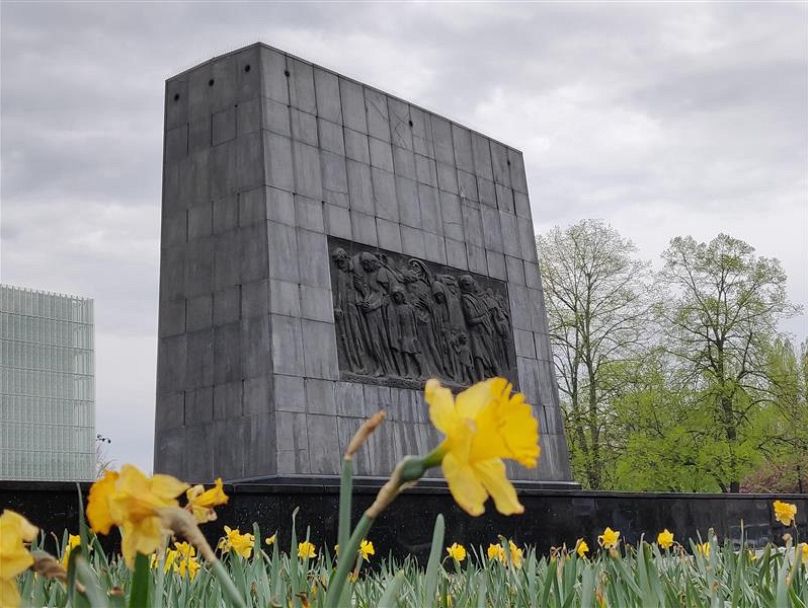 Daffodils to commemorate the 82nd anniversary of the Warsaw Ghetto Uprising 6 daffodils to commemorate the 82nd anniversary of the warsaw ghetto uprising 5 SzJN23Dg
