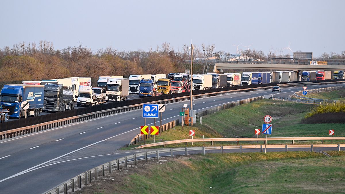 inspections on trucks from slovakia over foot and mouth disease cause gridlock mPS1KQsb