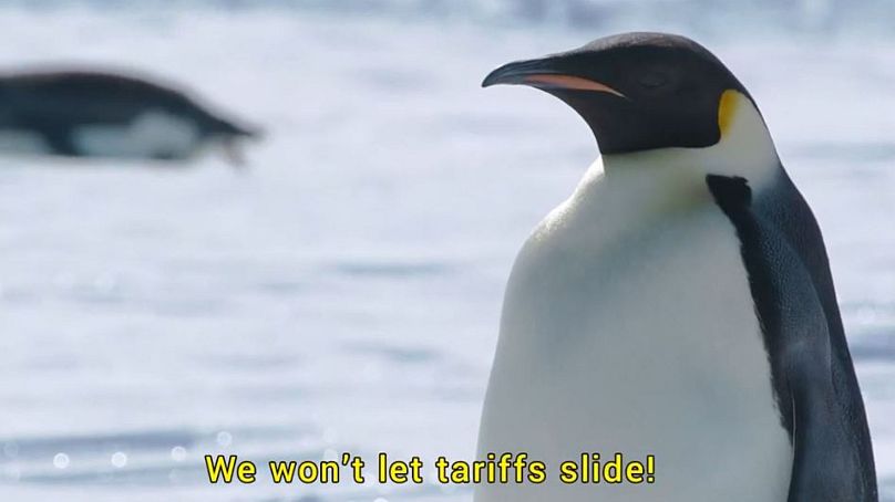 Penguin ‘protest march’ against Trump’s tariffs coming this week 2 penguin protest march against trumps tariffs coming this week 1 5f1OJg6i
