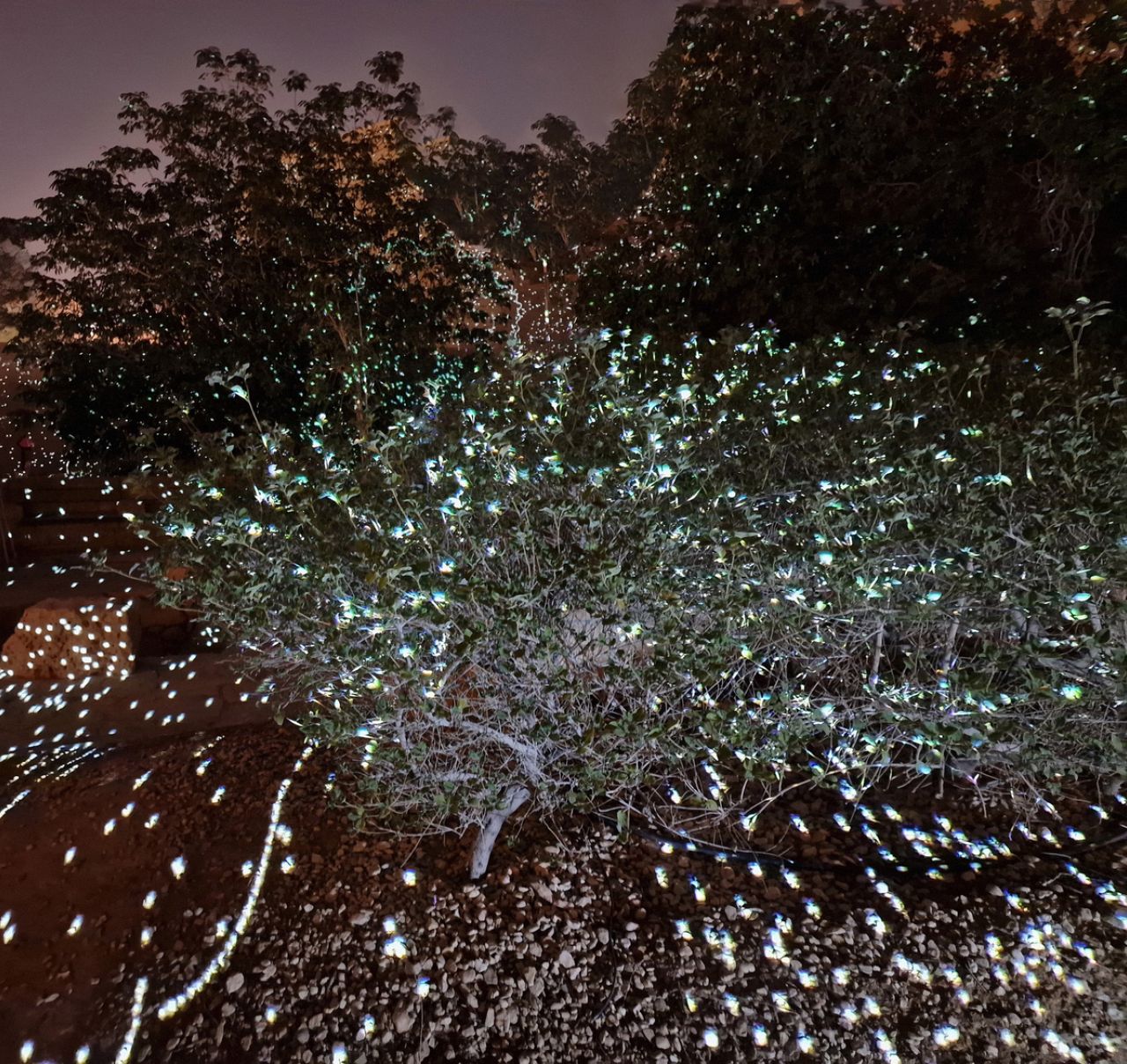 The Garden of Pythia: Oracles and AI installation turn Greek landscape into living artwork 8 the garden of pythia oracles and ai installation turn greek landscape into living artwork 5IuXjTbq