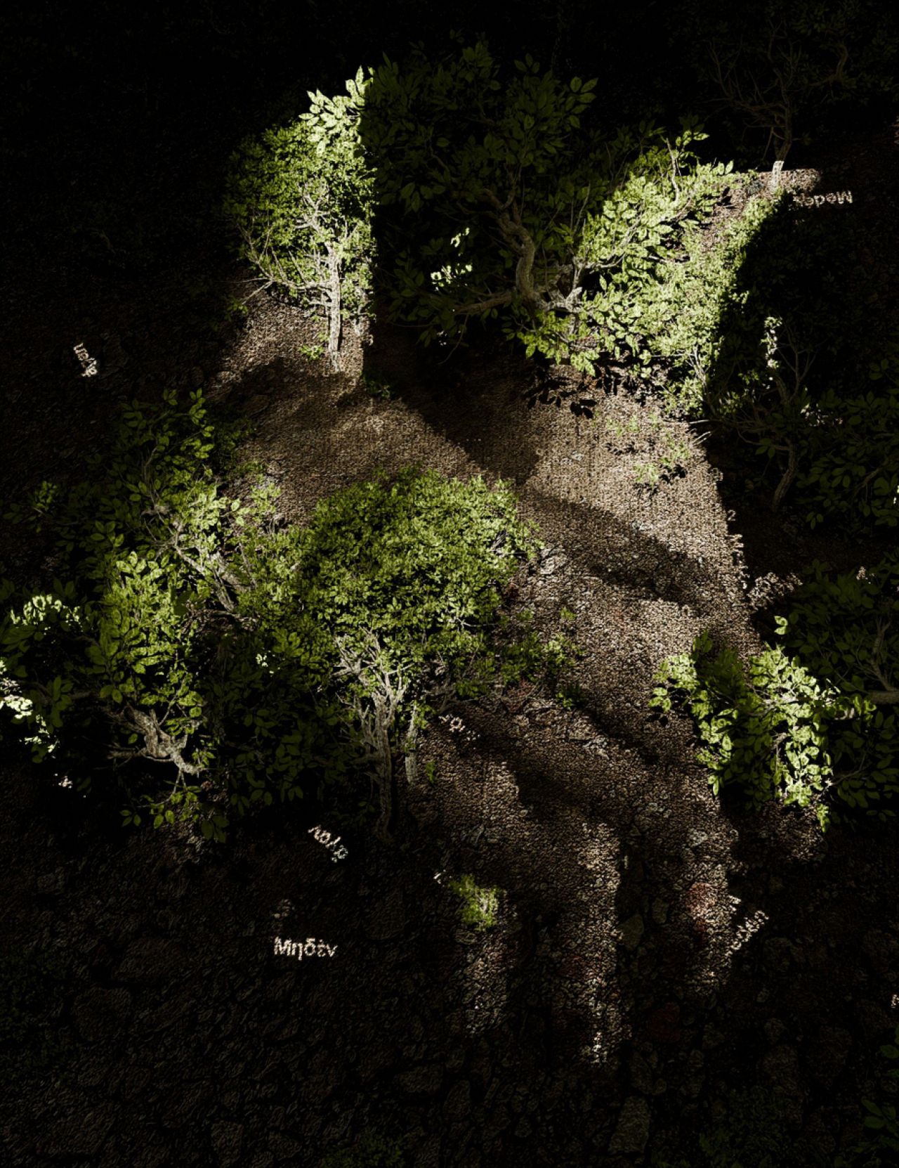 The Garden of Pythia: Oracles and AI installation turn Greek landscape into living artwork 5 the garden of pythia oracles and ai installation turn greek landscape into living artwork tCXlLg1O