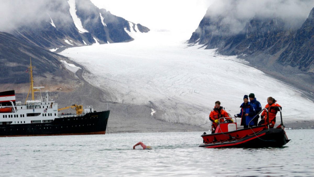 trade war with penguins trumps tariffs hit some remote targets across the globe ckJnIDWu