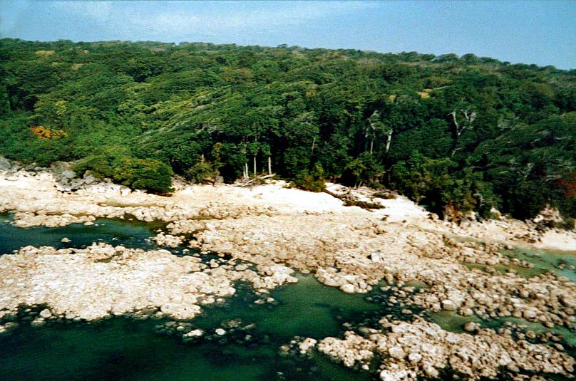 US tourist arrested in India for trying to make contact with an isolated tribe 1 us tourist arrested in india for trying to make contact with an isolated tribe 64cnKZHB