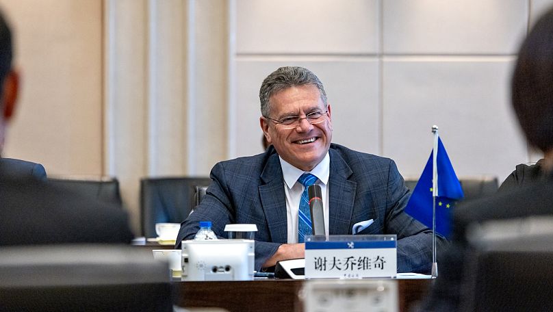 Who's who in the EU-US trade war? 2 whos who in the eu us trade war 1 L1suSF8L